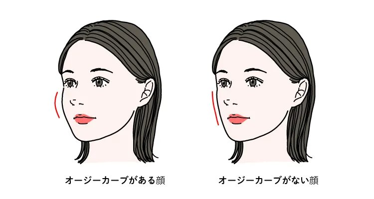 オージーカーブのある顔とない顔の比較