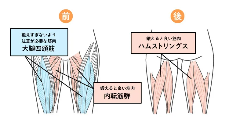 太もも痩せを成功させるには、太ももの裏側や内側の筋肉を鍛える