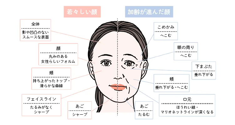 加齢による見た目の変化